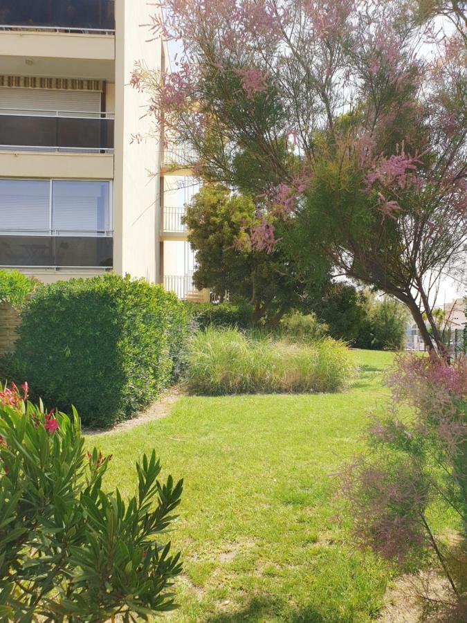 Studio Moderne Avec Parking Et Piscine- 313 Canet Exterior foto